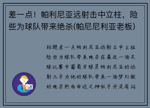 差一点！帕利尼亚远射击中立柱，险些为球队带来绝杀(帕尼尼利亚老板)
