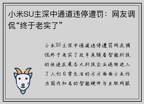 小米SU主深中通道违停遭罚：网友调侃“终于老实了”