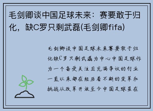 毛剑卿谈中国足球未来：赛要敢于归化，缺C罗只剩武磊(毛剑卿fifa)