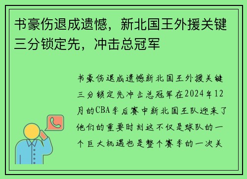 书豪伤退成遗憾，新北国王外援关键三分锁定先，冲击总冠军