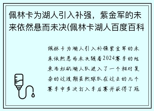 佩林卡为湖人引入补强，紫金军的未来依然悬而未决(佩林卡湖人百度百科)